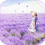 Logo of Lavender android Application 