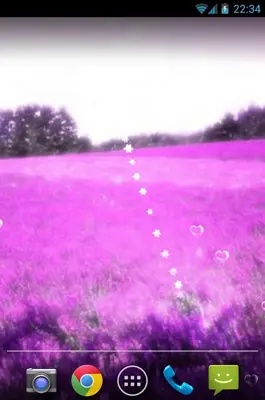 Lavender android App screenshot 5